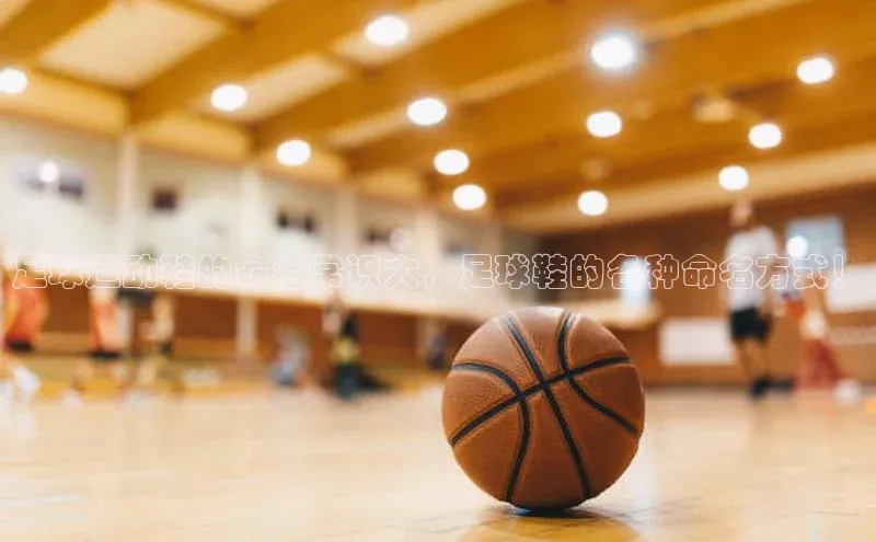 新宝gg一键登录神思电子足球运动鞋的命名常识大，足球鞋的各种命名方式！