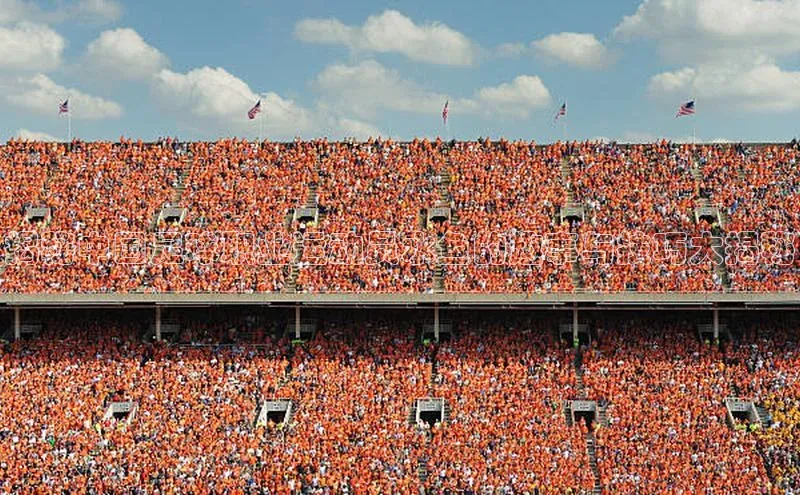 新宝gg娱乐 云创智行揭秘中国足球职业运动员水鱼的趣事与技巧大揭秘