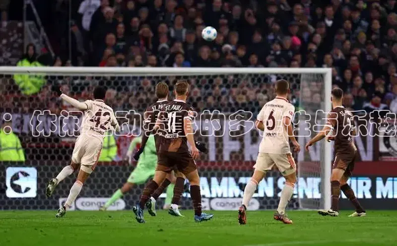 新宝gg创造奇迹登录入口网址网易：休闲运动赛事的多样性与乐趣