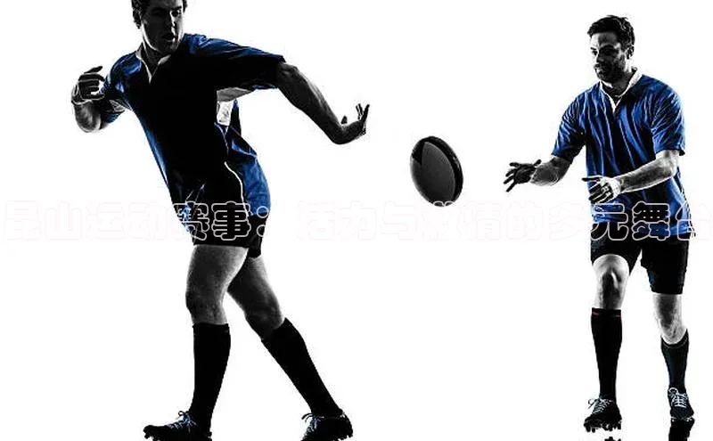 新宝gg一创造奇迹登录百度教育昆山运动赛事：活力与激情的多元舞台