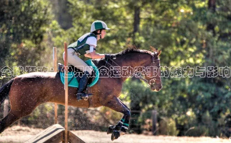 gg网站入口官网百度众测全球狂欢：世界吸金运动赛事的魅力与影响