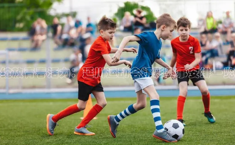 绽放青春活力：延川运动会精彩赛事安排一览