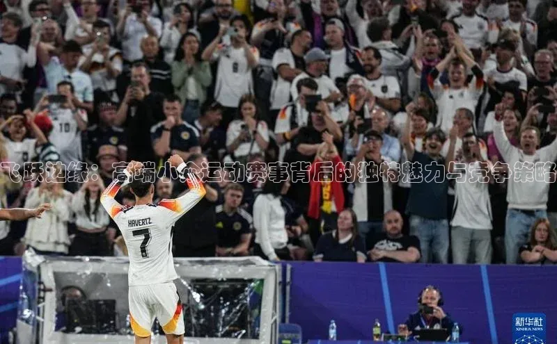 飞跃边缘：高端小众运动赛事背后的独特魅力与竞争策略