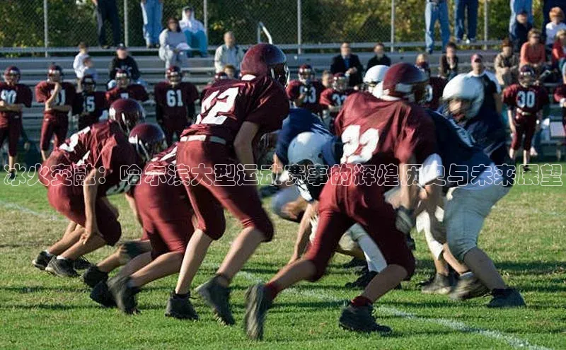 冰火交融：哈尔滨大型运动赛事的辉煌历史与未来展望