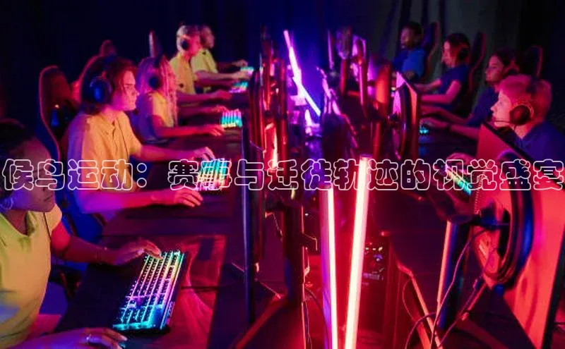 候鸟运动：赛事与迁徙轨迹的视觉盛宴