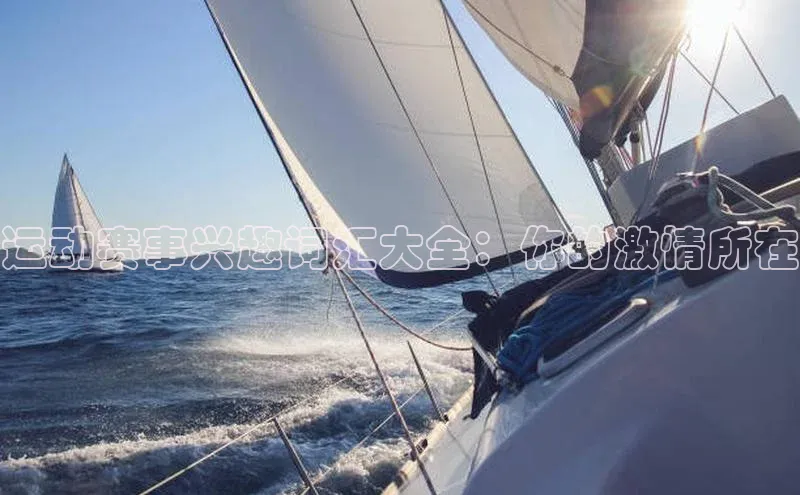 运动赛事兴趣词汇大全：你的激情所在