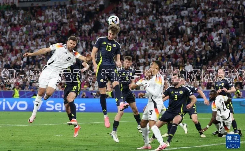 领克赛事运动：速度与激情的极限之旅