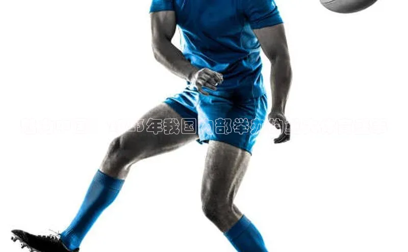 魅力中国：2023年我国内部举办的重大体育盛事