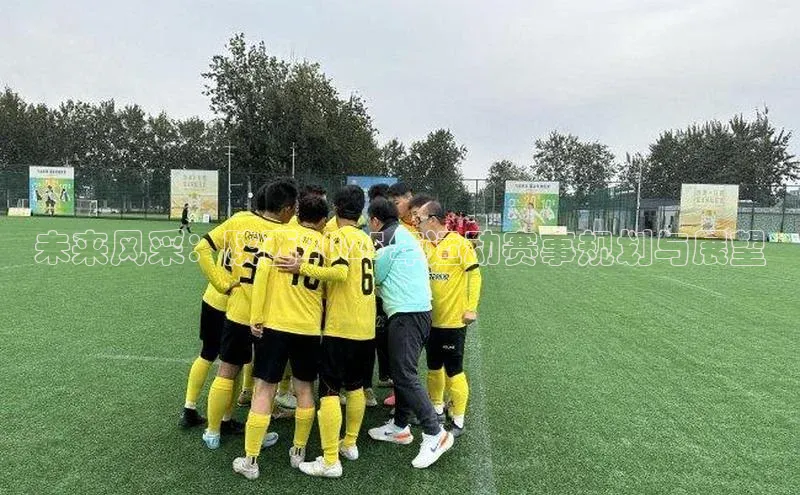 未来风采：陕西2025年运动赛事规划与展望