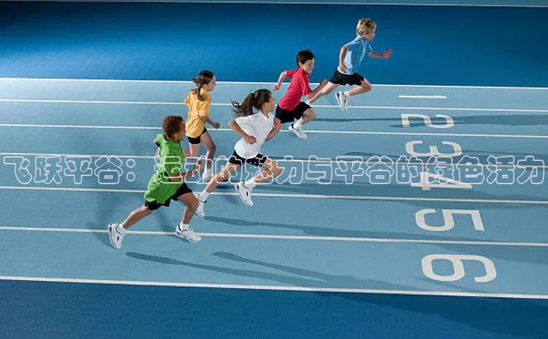 飞跃平谷：运动的魅力与平谷的绿色活力