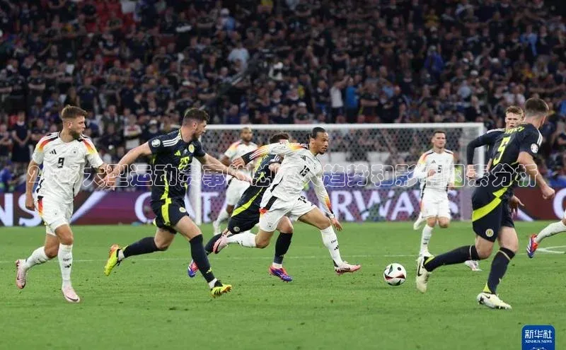 2023大型运动赛事的总收入趋势和影响因素分析