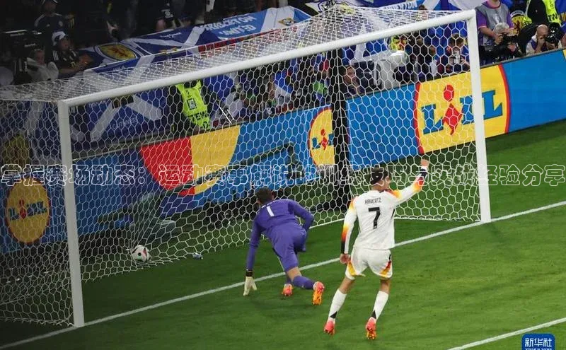 gg网站入口官网