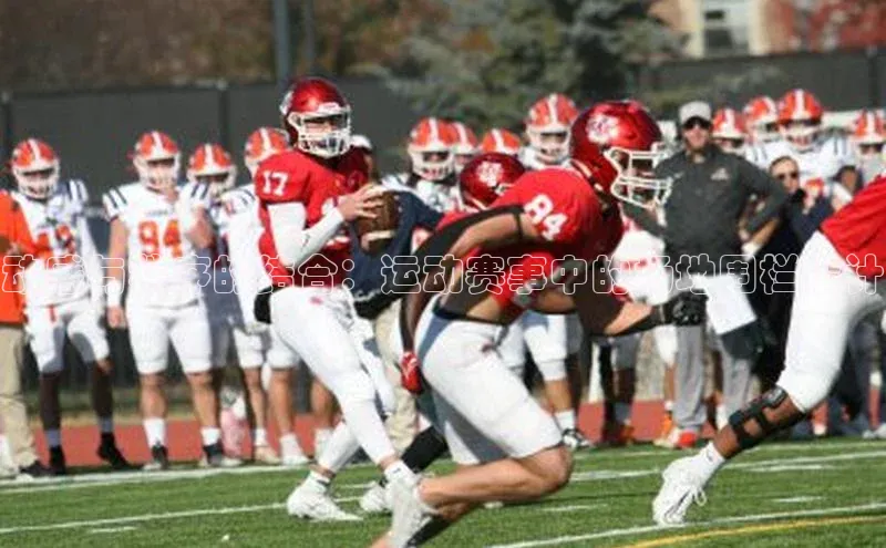 新宝gg开户登录