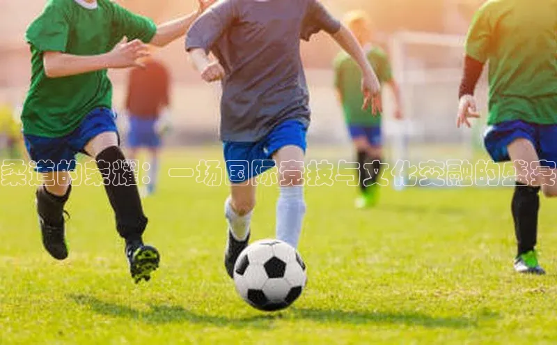 新宝网站登录入口