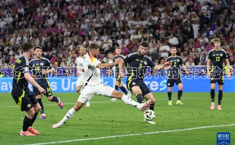 新宝gg创造奇迹官方登录入口