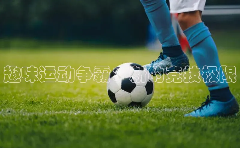 趣味运动争霸：新的竞技极限